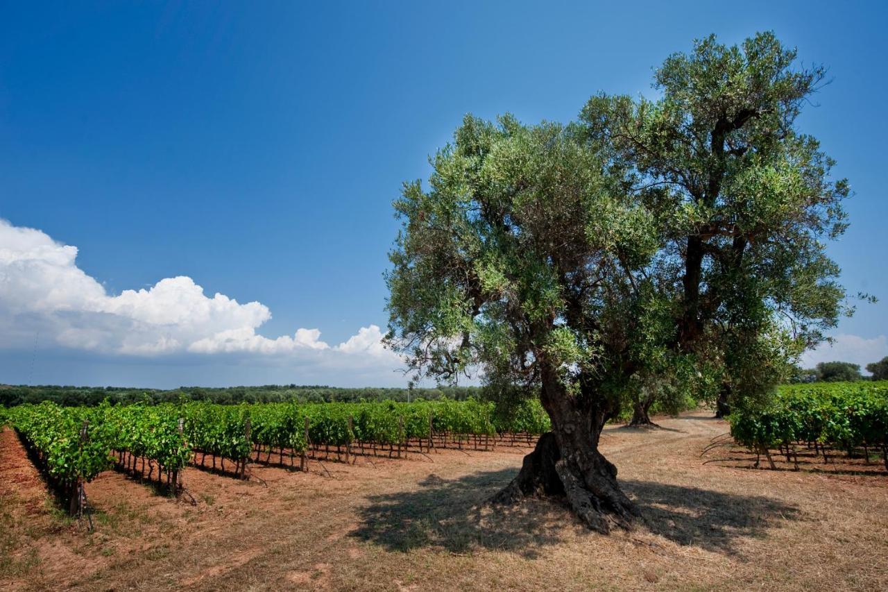 בית הארחה מארוג'ו 	Masseria Le Fabriche מראה חיצוני תמונה