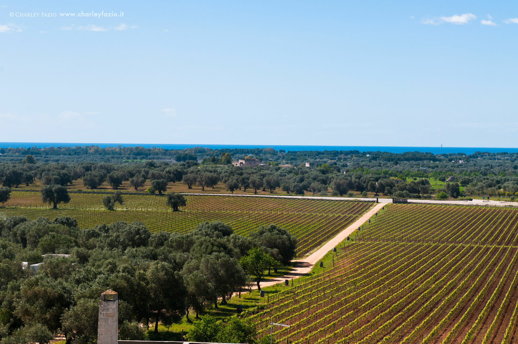 מארוג'ו Masseria Le Fabriche מראה חיצוני תמונה