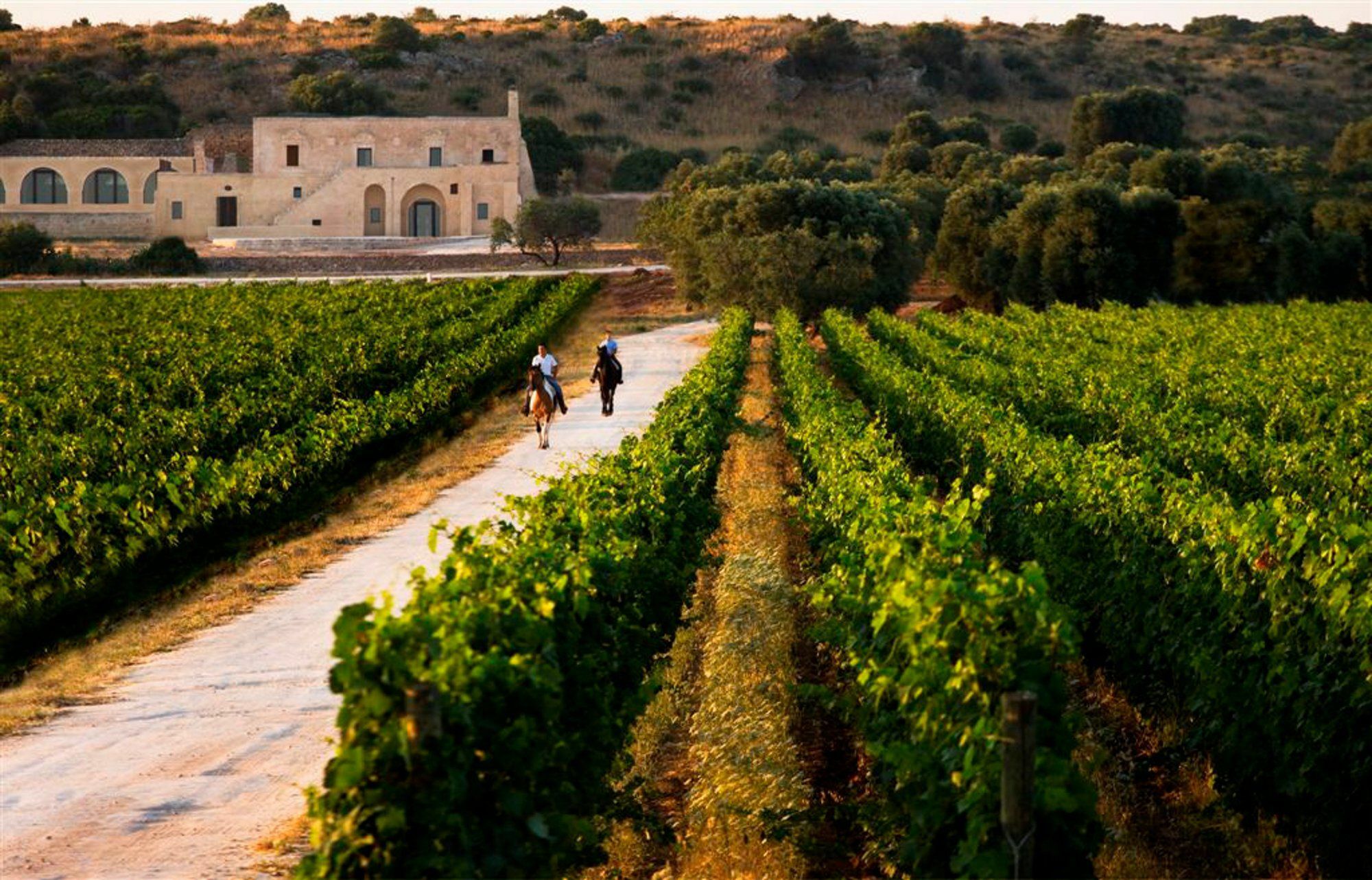 בית הארחה מארוג'ו 	Masseria Le Fabriche מראה חיצוני תמונה