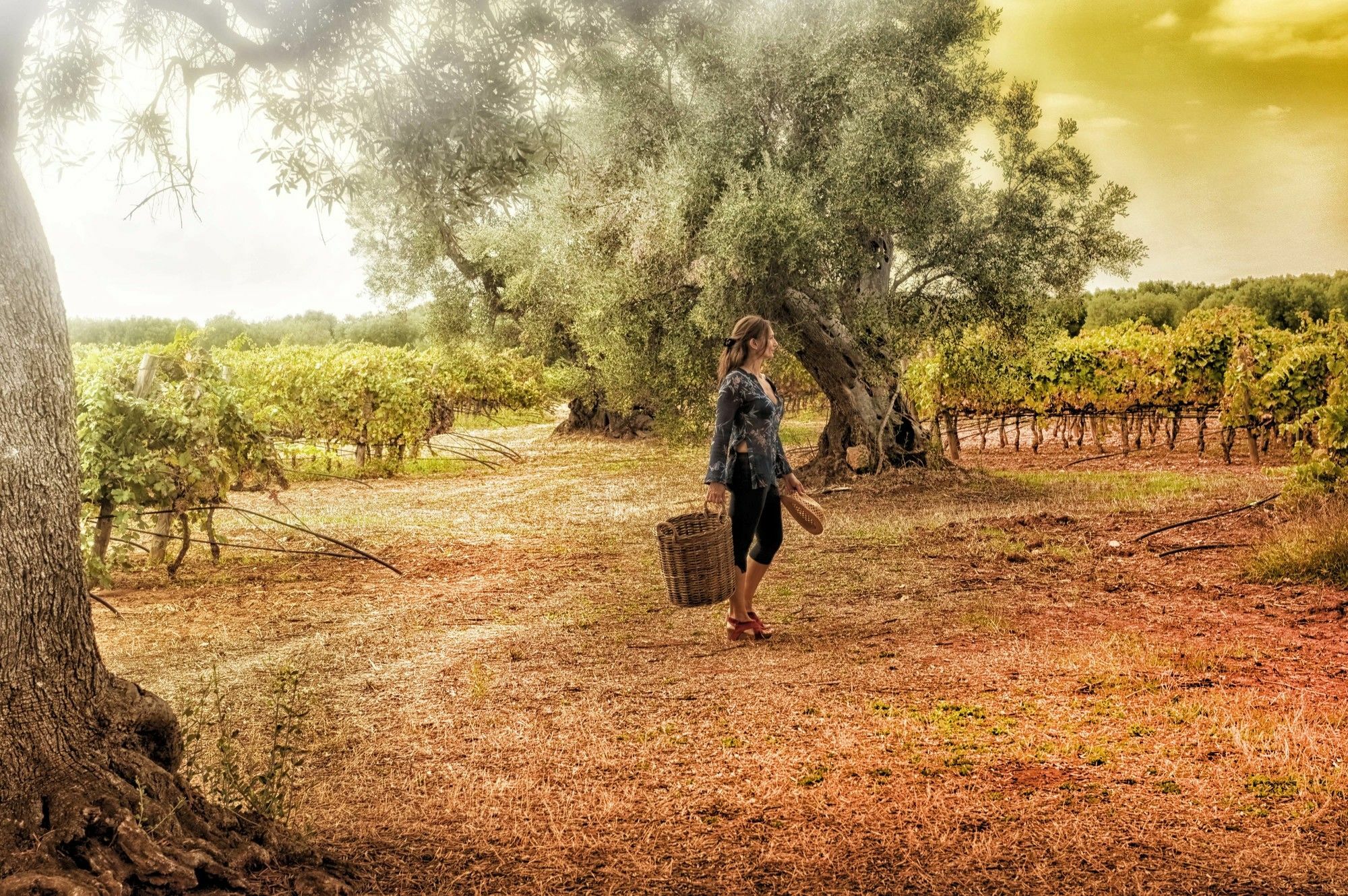 מארוג'ו Masseria Le Fabriche מראה חיצוני תמונה